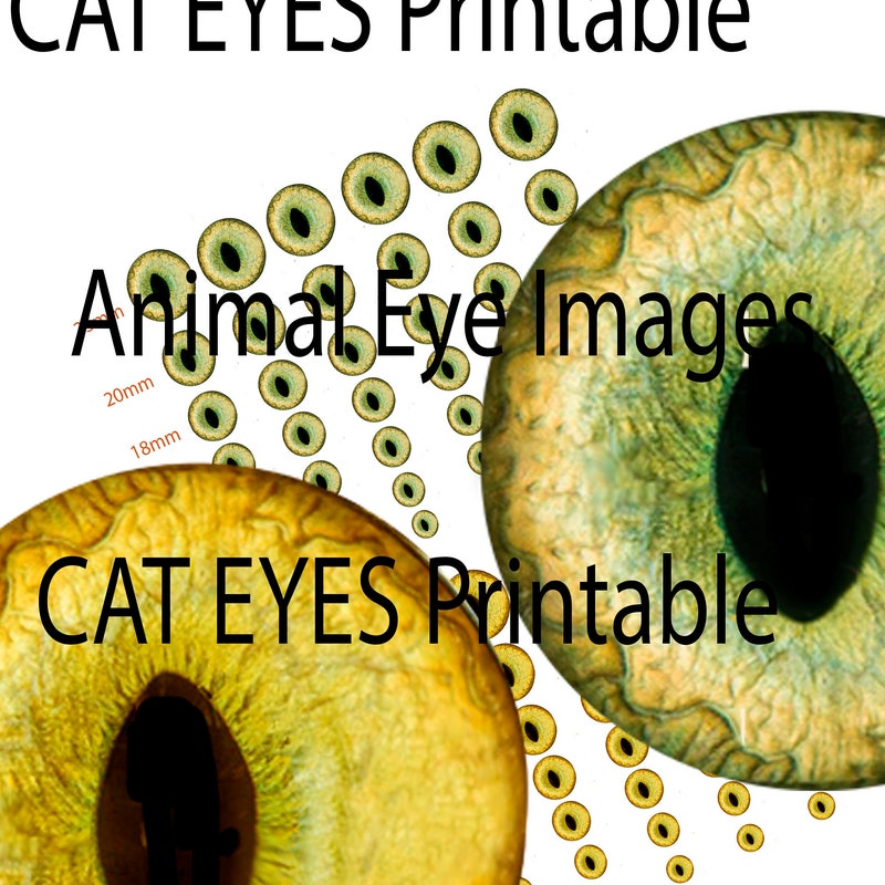 Printable Eyes - Etsy