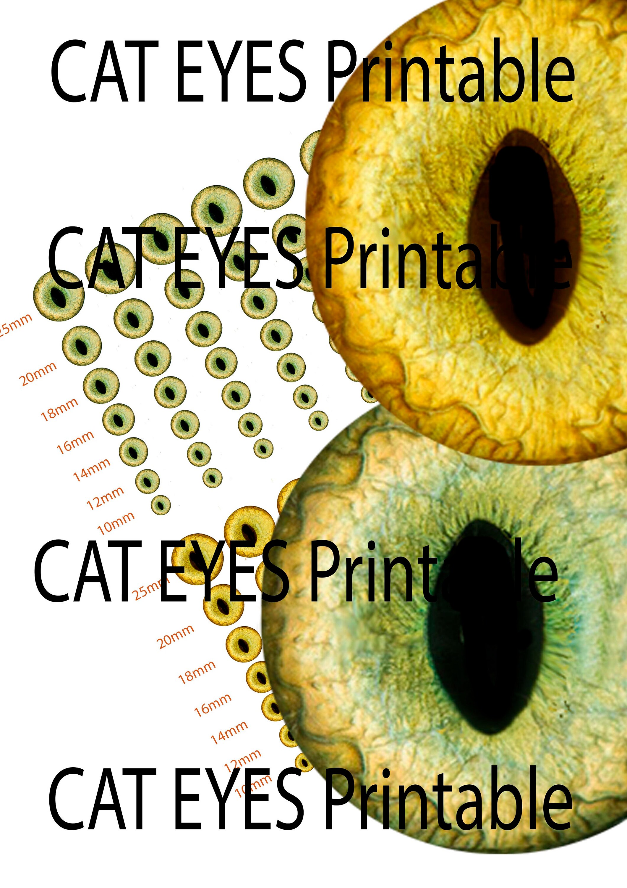 CAT EYES Printable Craft Circles/cats Eye/animal Eye Images/instant ...