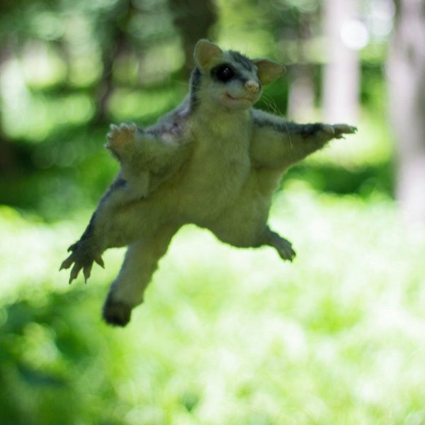 Auf Bestellung. Tuti das fliegende Eichhörnchen / Plüsch Momonga japanisches fliegendes Eichhörnchen / realistisches Spielzeug / Zuckergleiter Spielzeug / entzückendes Baby Zuckergleiter