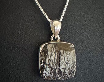 Genuine Shungite Noble Necklace, Sterling Silver Elite Noble Shungite Pendant, Chakra Charm, Protection Jewelry, Natural Mineral Necklace