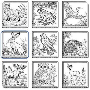 May include: Black and white line art illustrations of various animals, including a fox, frog, bird, rabbit, hawk, hedgehog, moose, owl, and deer. The illustrations are set in square frames.