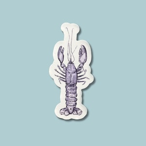Blue Lobster Sticker, watercolor sticker, vinyl waterproof sticker