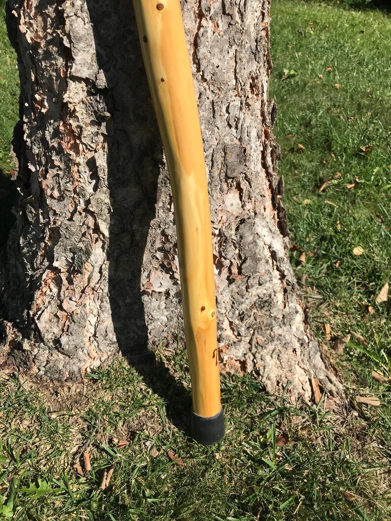 56inch Hiking Stick Red Cedar Wood 28oz Weight Natural Bend Black ...