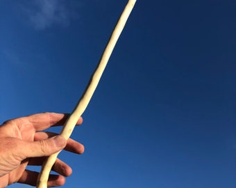 ホーリー・ペイガン・ワンド