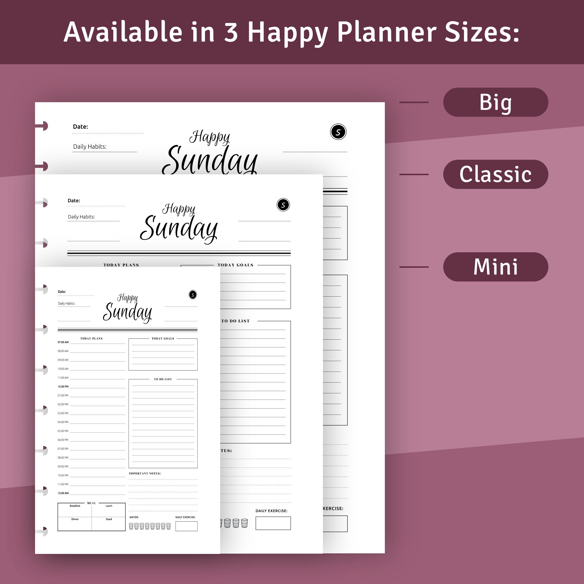 Daily Happy Planner Classic / Big / Mini Printable Templates, Day at a ...