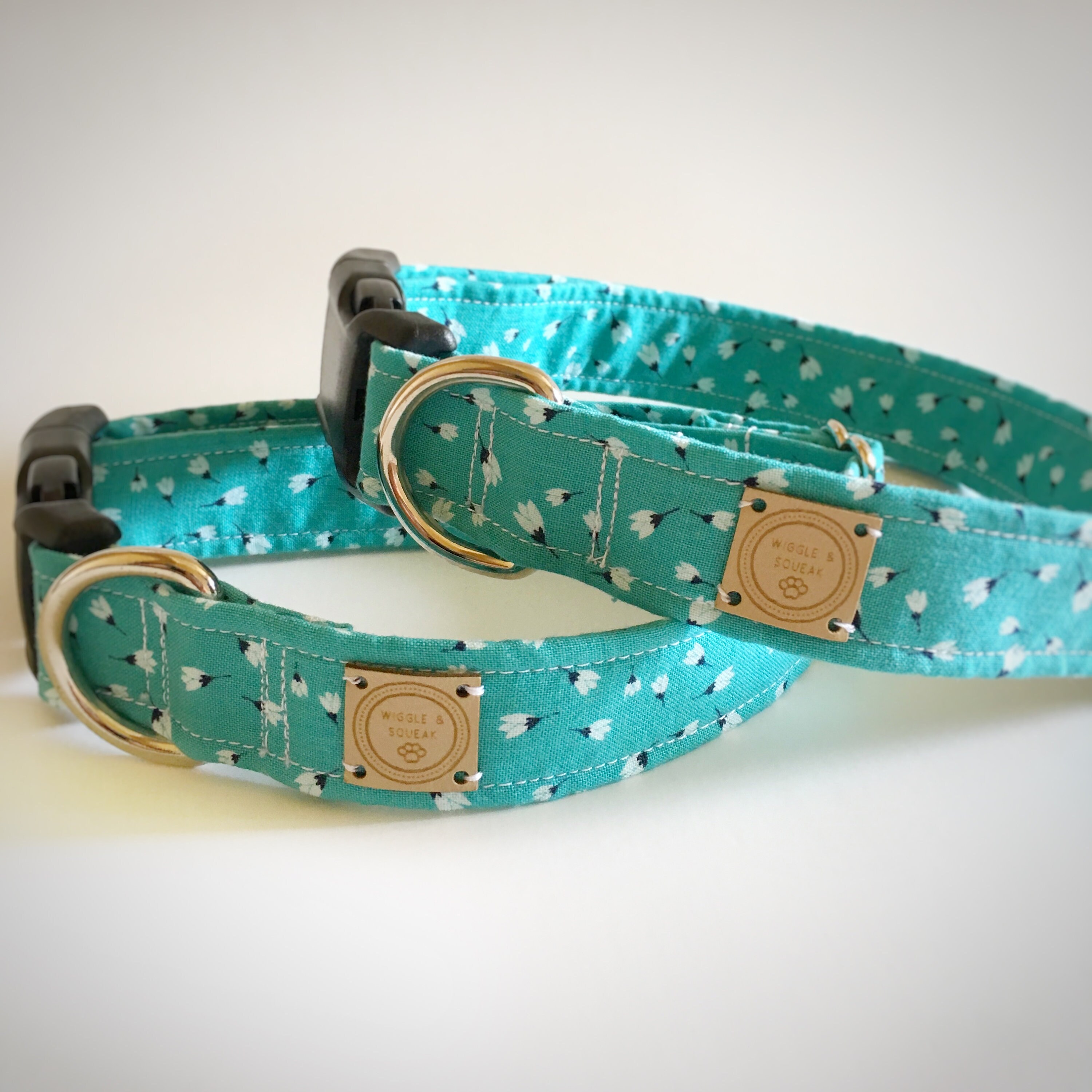 dog collars ottawa