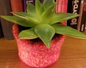 Hand-Felted 100 Wool Planter Succulent Planter Small Planter