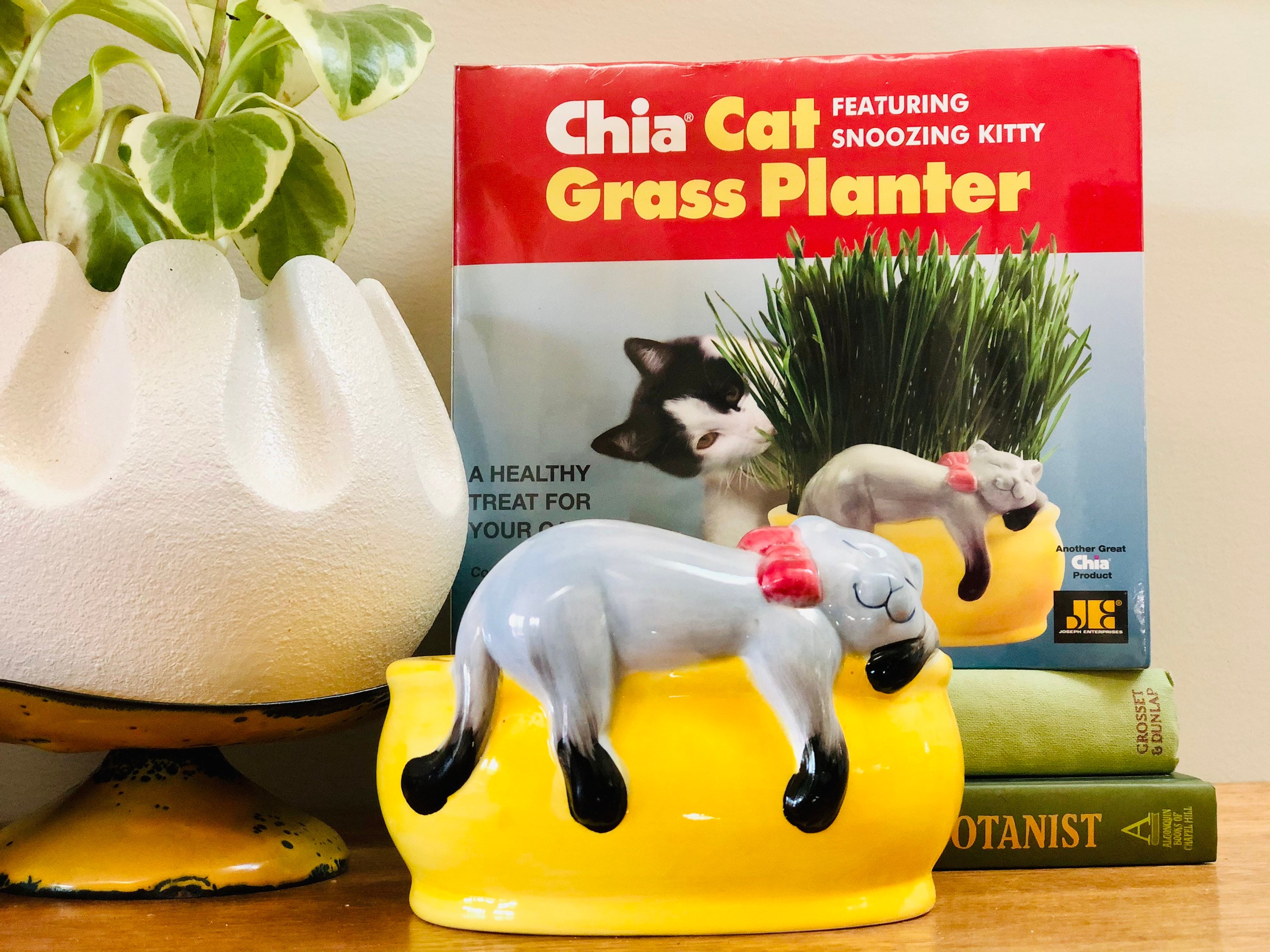Vintage Chia Cat Grass Planter NIB Etsy