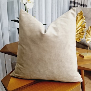 Light brown velvet cushion cover, coffee with milk pillow, brown velvet luxury fabric, custom size pillow, decorative product