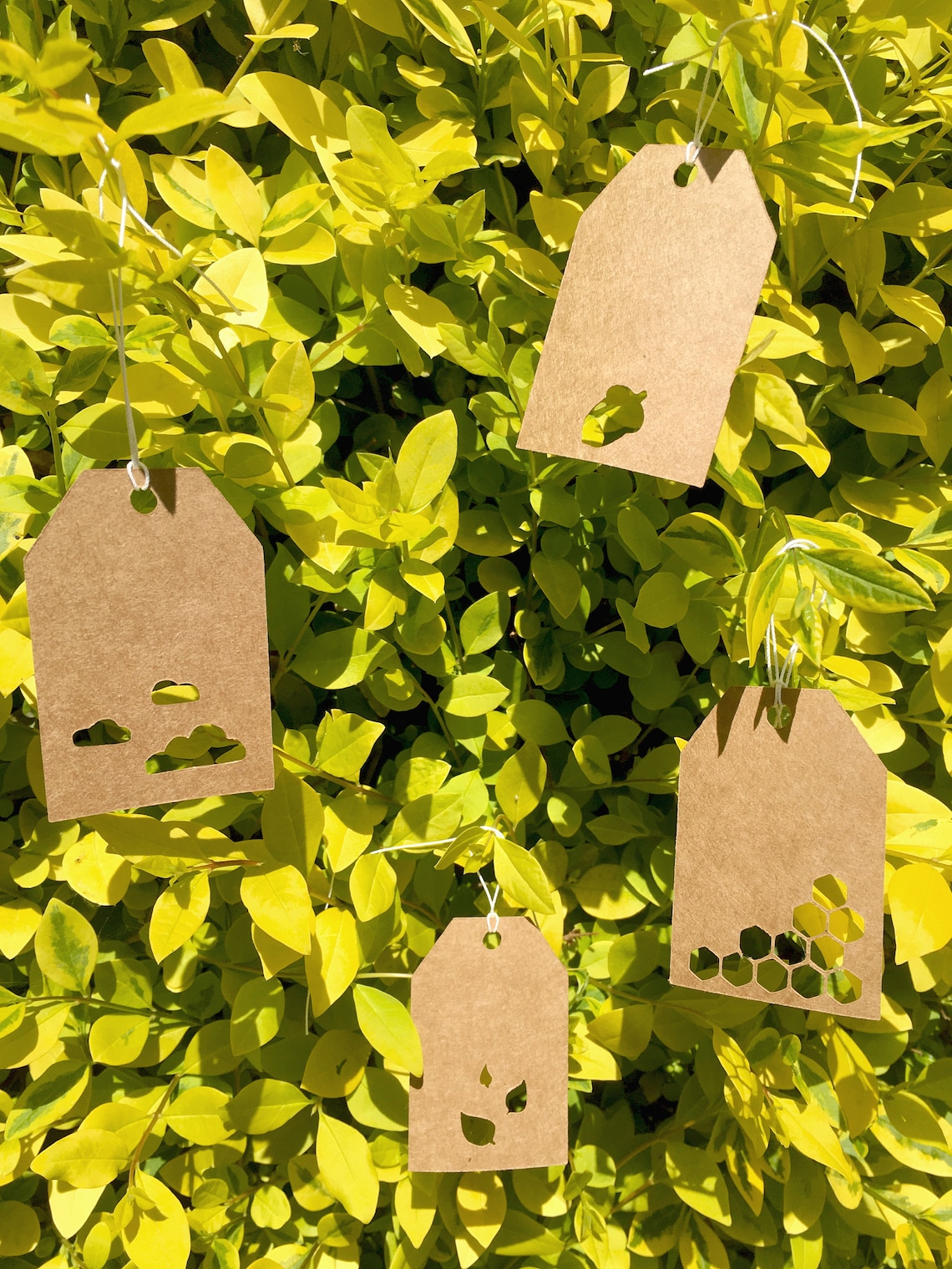 Nature Themed Mini Gift Tags 12 Tag Set Etsy