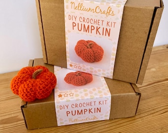 Pumpkin Crochet Kit – DIY Autumn Decor, Beginner Friendly