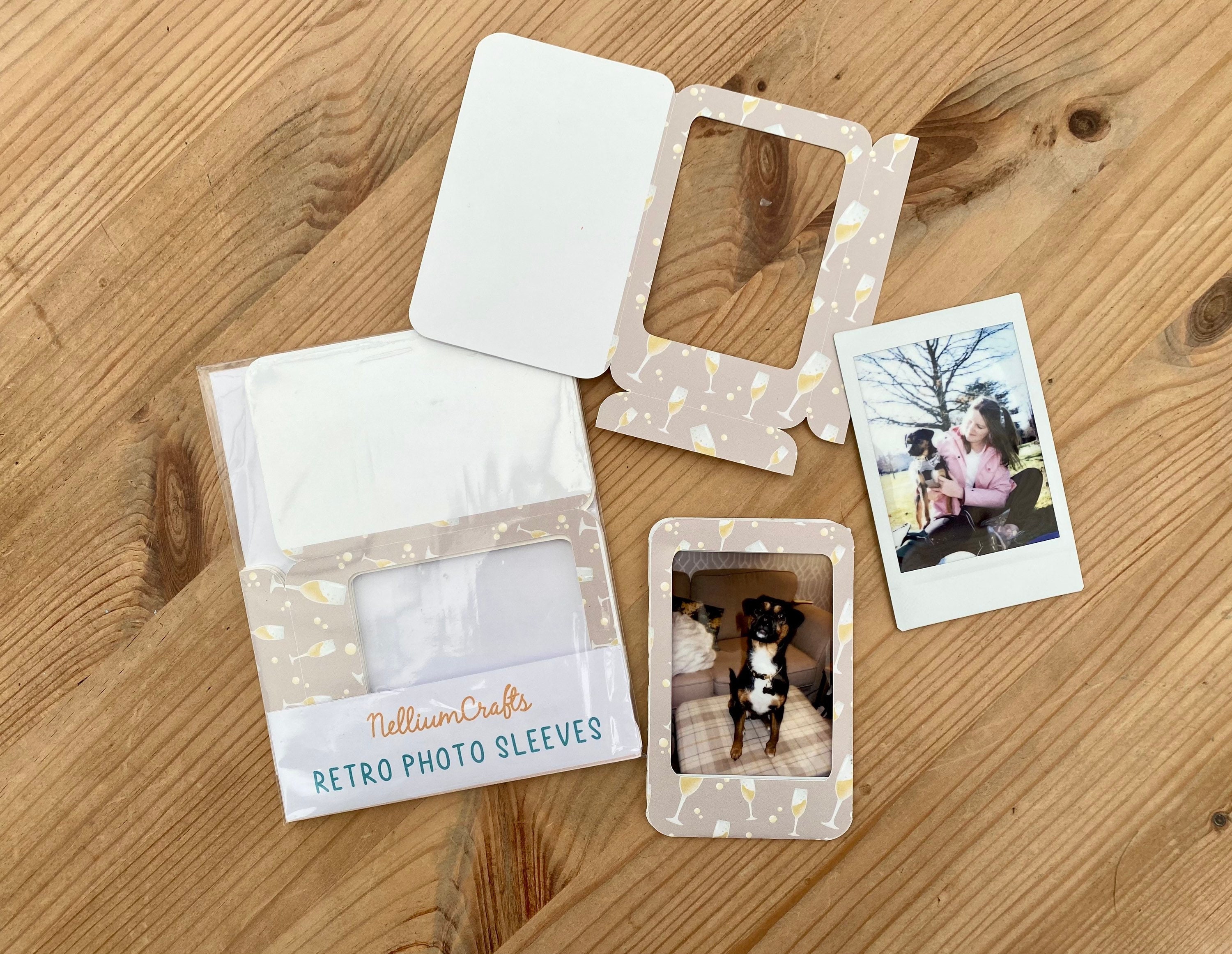 4 X 6 Photo Sleeves Package of Ten for 60 Photos these Sleeves