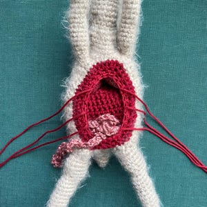 Digital Download Rabbit Dissection Crochet Pattern - Etsy