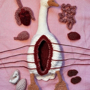 Digitale download: haakpatroon eend dissectie