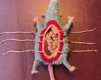Digital Download Rat Dissection Crochet Pattern
