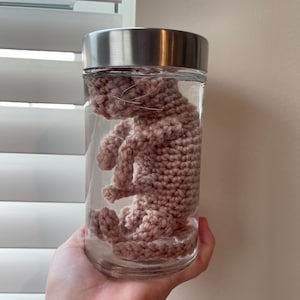 May include: A crocheted pink animal figurine is preserved in a clear glass jar with a silver lid. The jar is being held by a hand.