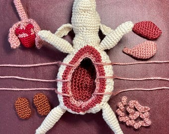 Digital Download Fetal Pig Dissection Crochet Pattern