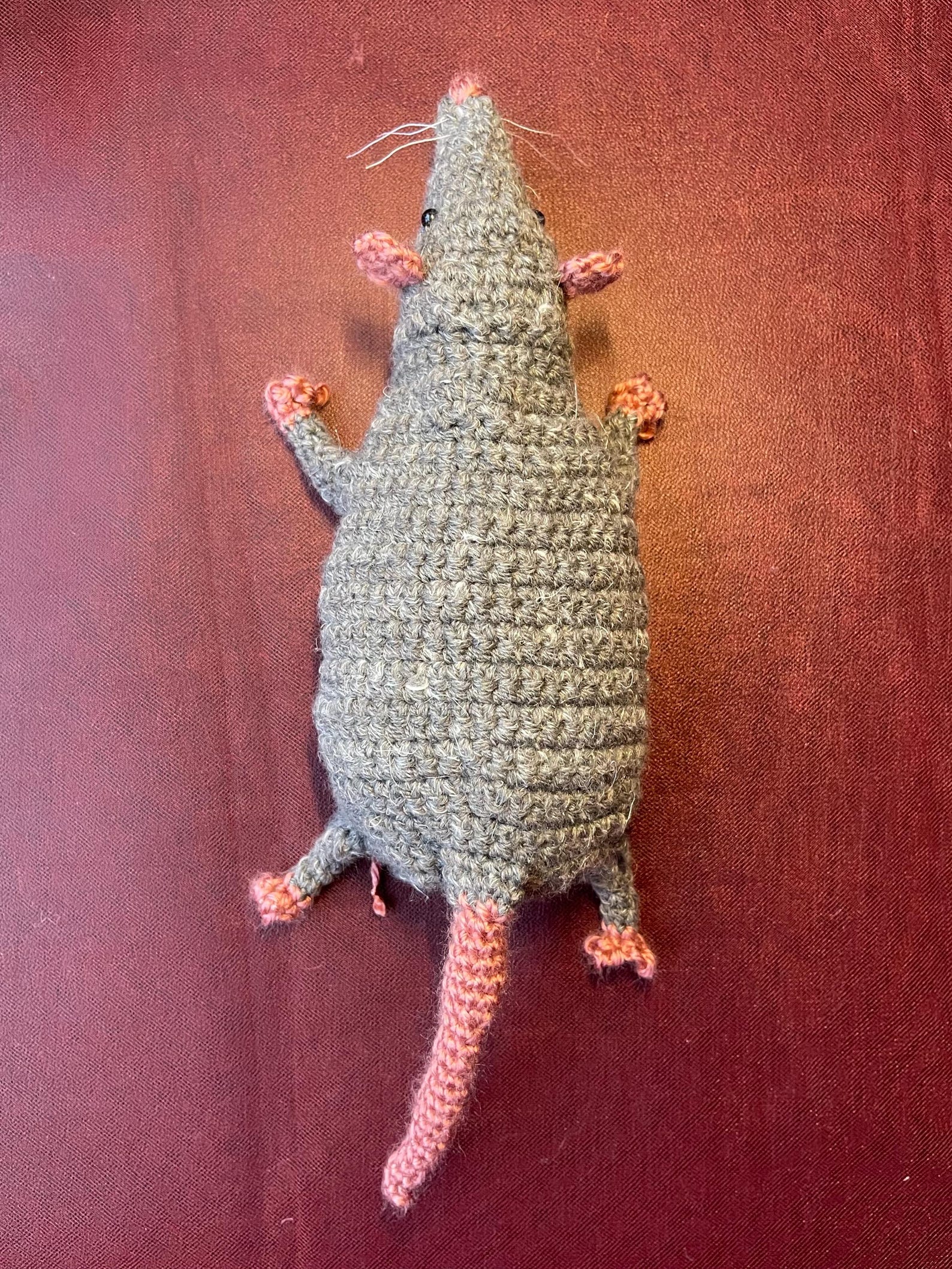 Digital Download Rat Dissection Crochet Pattern - Etsy