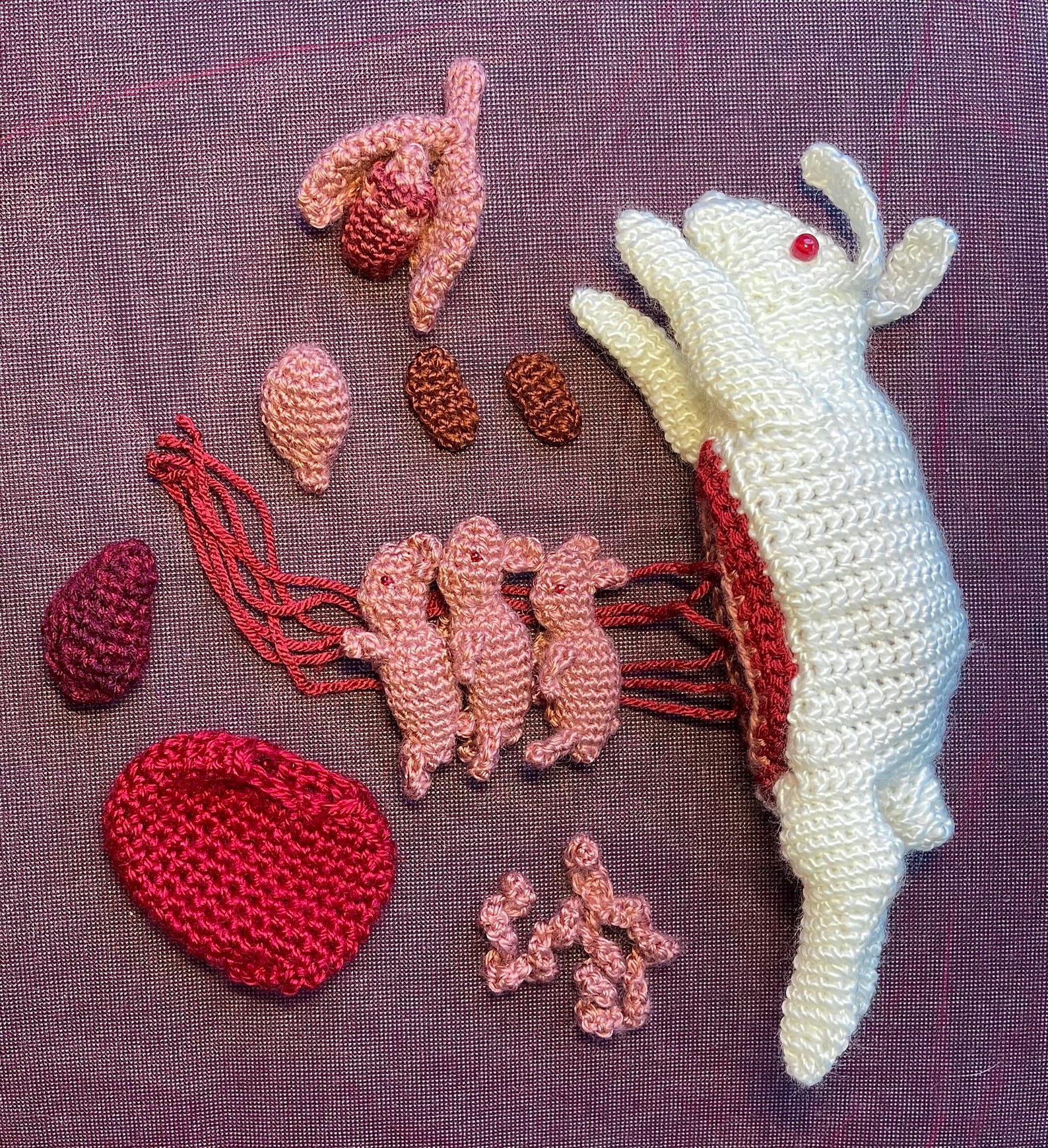 Digital Download Rabbit Dissection Crochet Pattern - Etsy