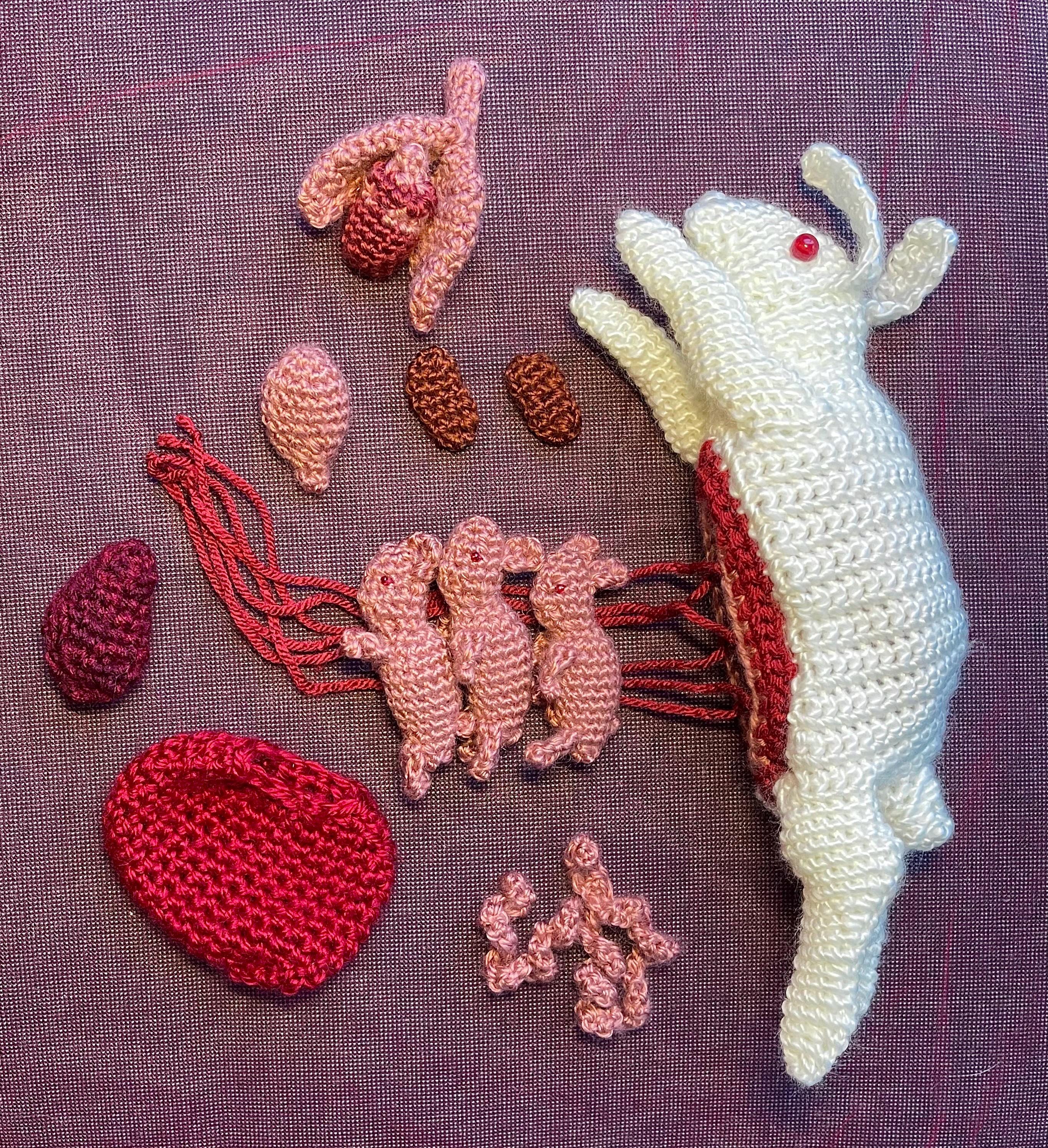 Digital Download Rabbit Dissection Crochet Pattern - Etsy