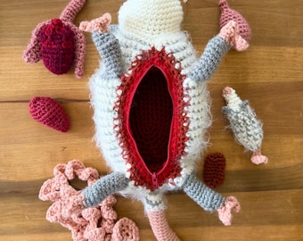 Digital Download Opossum Dissection Pouch Crochet Pattern