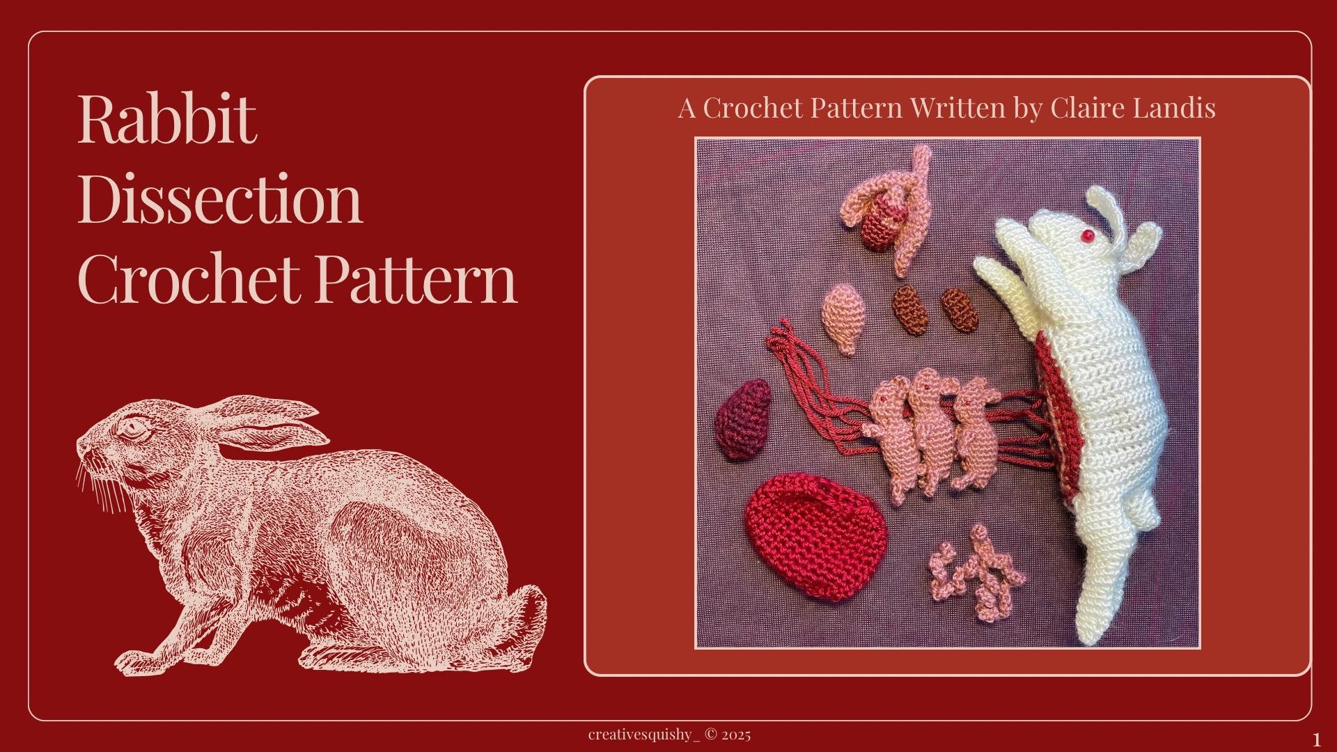 Digital Download Rabbit Dissection Crochet Pattern - Etsy