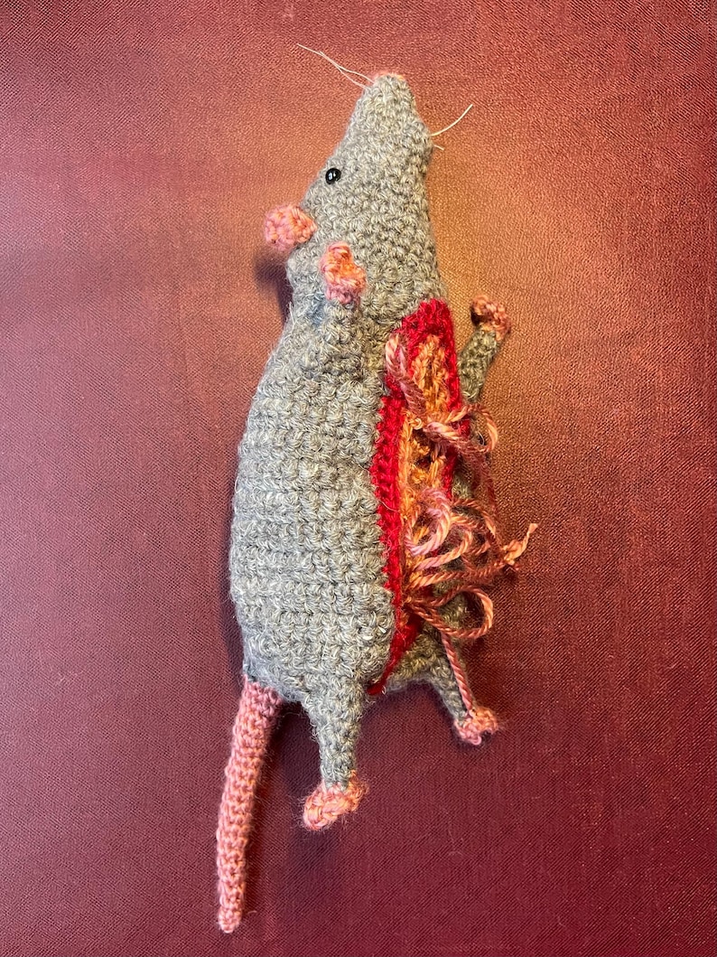 Digital Download Rat Dissection Crochet Pattern - Etsy