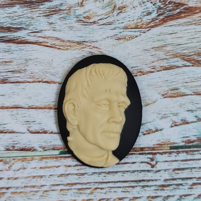 Op de afbeelding: Een zwarte cameo met een wit gesculpteerd portret van een mannengezicht. De cameo is ovaalvormig en heeft een gladde, glanzende afwerking.