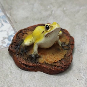 May include: A yellow frog figurine with black eyes, sitting on a brown, textured base. The frog is posed with its legs outstretched and its head tilted up.