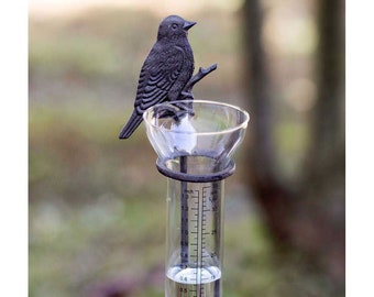 Rain Gauge Etsy