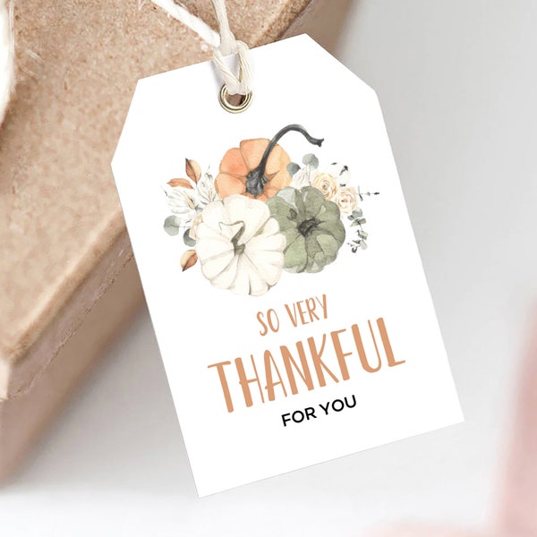 So Very Thankful Tags, Thanksgiving Tags, Fall Thankful Gift Tags, Autumn Printable, Template, Instant Download, EDITABLE - T1