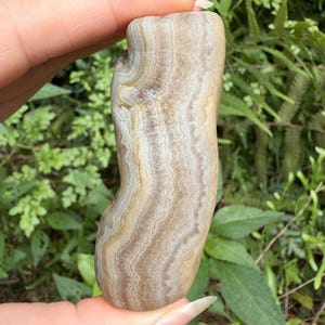 May include: A polished, elongated stone featuring intricate, wavy bands of beige, cream, and light brown colors. The surface displays a natural, layered texture with a smooth finish, showcasing organic, flowing patterns throughout the entire piece.