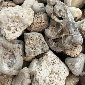 K&ouml;nnte beinhalten: Nahaufnahme einer Ansammlung von Steinen und Felsen. Die Steine variieren in Gr&ouml;&szlig;e, Form und Textur, mit Farben von hellbeige bis grau und braun. Einige Steine haben eine por&ouml;se Oberfl&auml;che, andere sind glatt, was ein abwechslungsreiches Bild ergibt.