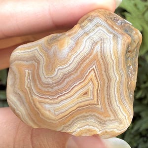 May include: A polished agate stone featuring intricate, concentric banding in shades of tan, cream, beige, and light brown. The surface displays a smooth, organic texture with wavy, layered patterns that follow the natural contours of the mineral.