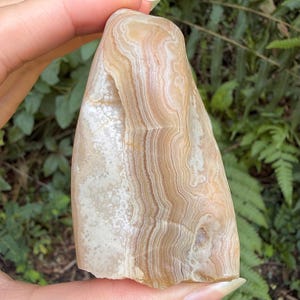 May include: A polished stone specimen featuring intricate, wavy bands of cream, beige, and light brown colors. The surface displays a smooth, layered texture with translucent areas and organic, flowing patterns throughout the entire mineral structure.