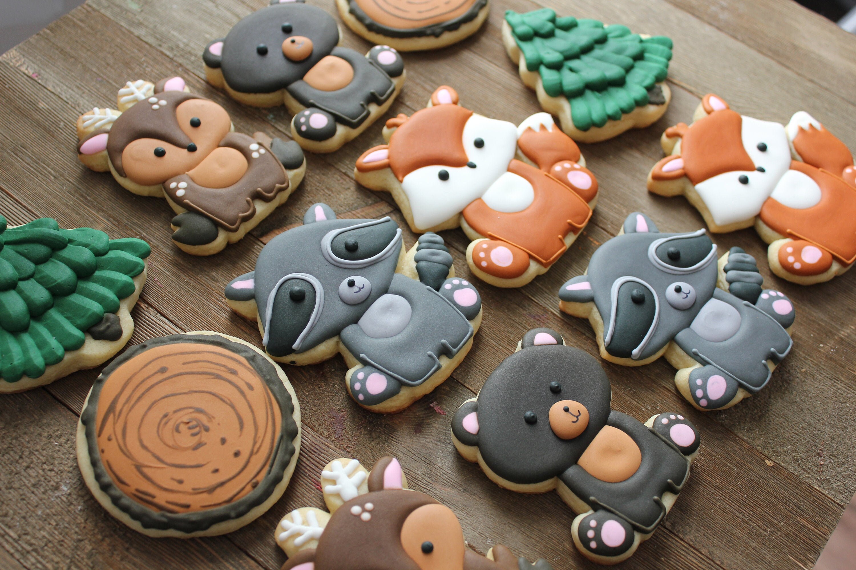 Woodland Animals Royal Icing Sugar Cookies / Decorated Sugar Etsy