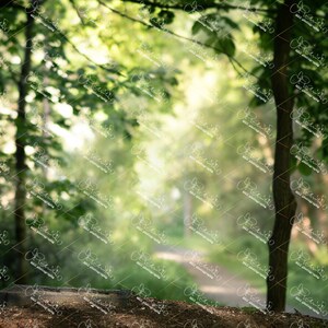 Magical place, in the forest, spot, light background, bokeh, sun rays, golden light DIGITAL BACKGROUND