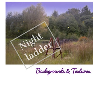 May include: A wooden ladder stands in a field of tall grass, with trees in the background. The text "Night ladder" is overlaid on the image, along with "Backgrounds & Textures". The scene is lit with a soft, natural light.
