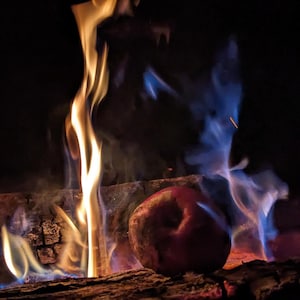Könnte beinhalten: Ein roter Apfel wird über einem Feuer mit orangefarbenen und blauen Flammen geröstet. Der Apfel liegt auf einem Holzscheit im Feuer.