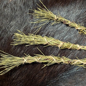 Pine Incense - Natural Dried Pine Twigs - Organic and Ethically Harvested