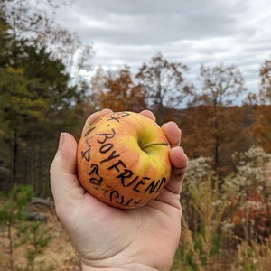 May include: A red and yellow apple with the words "EX-BOYFRIEND" written on it.