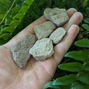 Mountain Peak Stone - Sandstone/Limestone from Appalachian Mountaintop