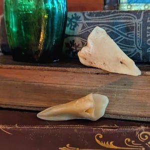 May include: A still life arrangement featuring antique books, glass bottles, and a small treasure chest. A green bottle and a yellow bottle sit atop the books. A pendant hangs in front of the books. Two teeth are placed on the books.