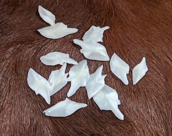One Dozen Gar Scales
