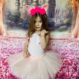 Easter Bunny Tutu, blush tulle tutu for girls, skirt tutu, ballet costume, ballerina tutu