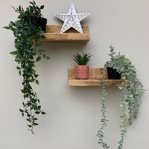 May include: Two wooden shelves with plants in pots. The top shelf has a white star on it. The shelves are mounted on a light gray wall.
