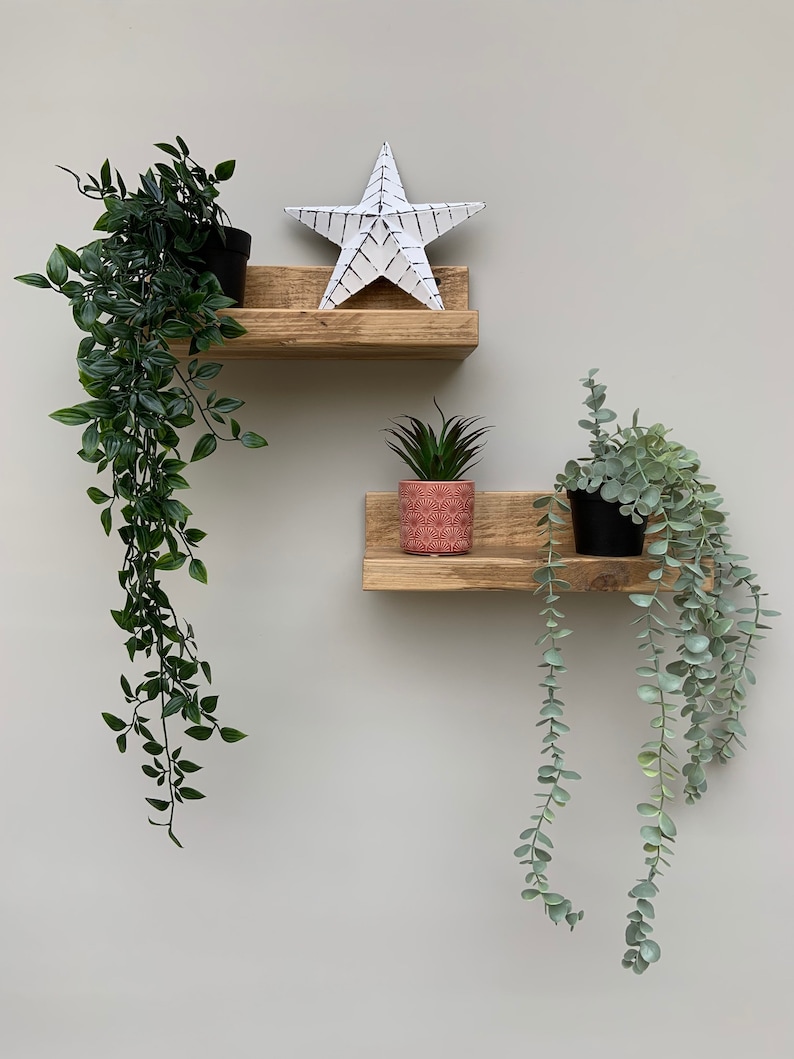 May include: Two wooden shelves with plants in pots. The top shelf has a white star on it. The shelves are mounted on a light gray wall.