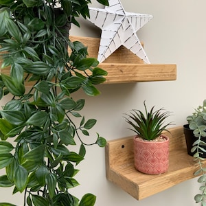 May include: Two wooden shelves with a white star on the top shelf and two potted plants on the bottom shelf. The shelves are mounted on a white wall.