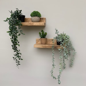 May include: Two wooden shelves with a rustic finish, mounted on a white wall. The top shelf has a small green plant in a pot, while the bottom shelf has a small succulent in a pot. Both shelves have a hanging plant with green leaves.