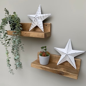 May include: Two rustic wooden shelves with a white star on each shelf. The top shelf has a green plant hanging from it. The bottom shelf has a small succulent plant in a gray pot.